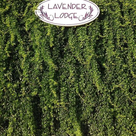 Lavender'S Lodge Hotel Kalkan Exterior photo