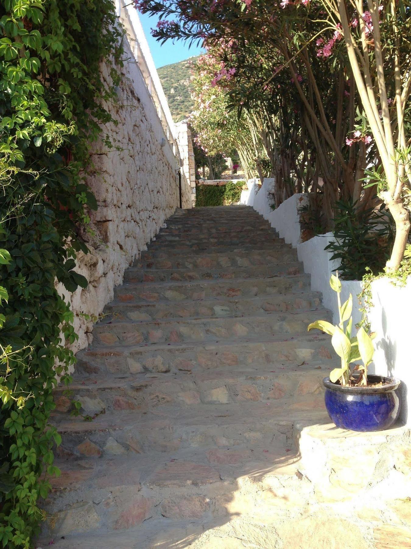 Lavender'S Lodge Hotel Kalkan Exterior photo
